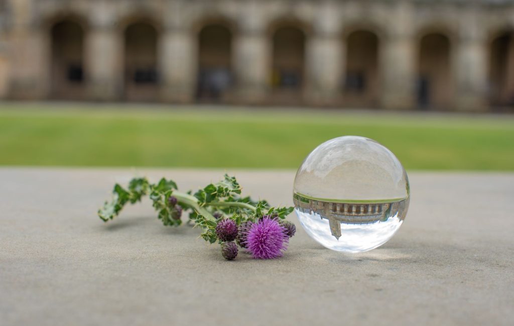 Thistle and lensball with view of St Salvator's Chapel Tower, University of St Andrews