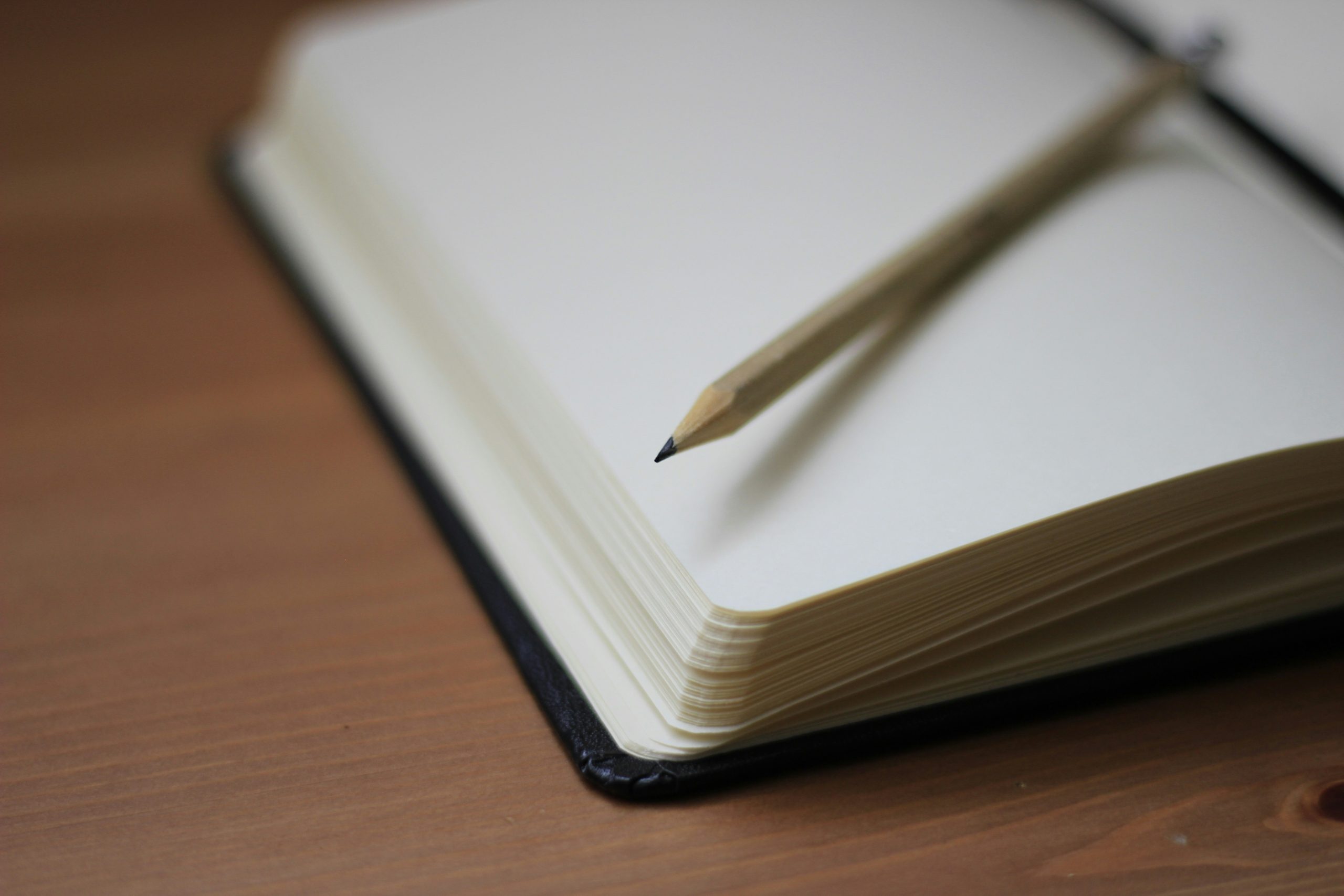Open notebook on a desk. A pencil is laid across.